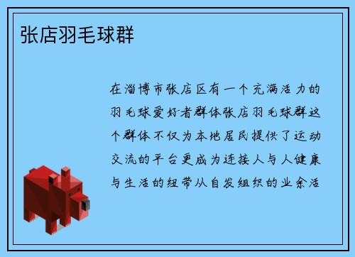 张店羽毛球群