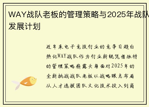 WAY战队老板的管理策略与2025年战队发展计划